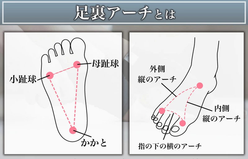 コンディショニング磁気サポーター